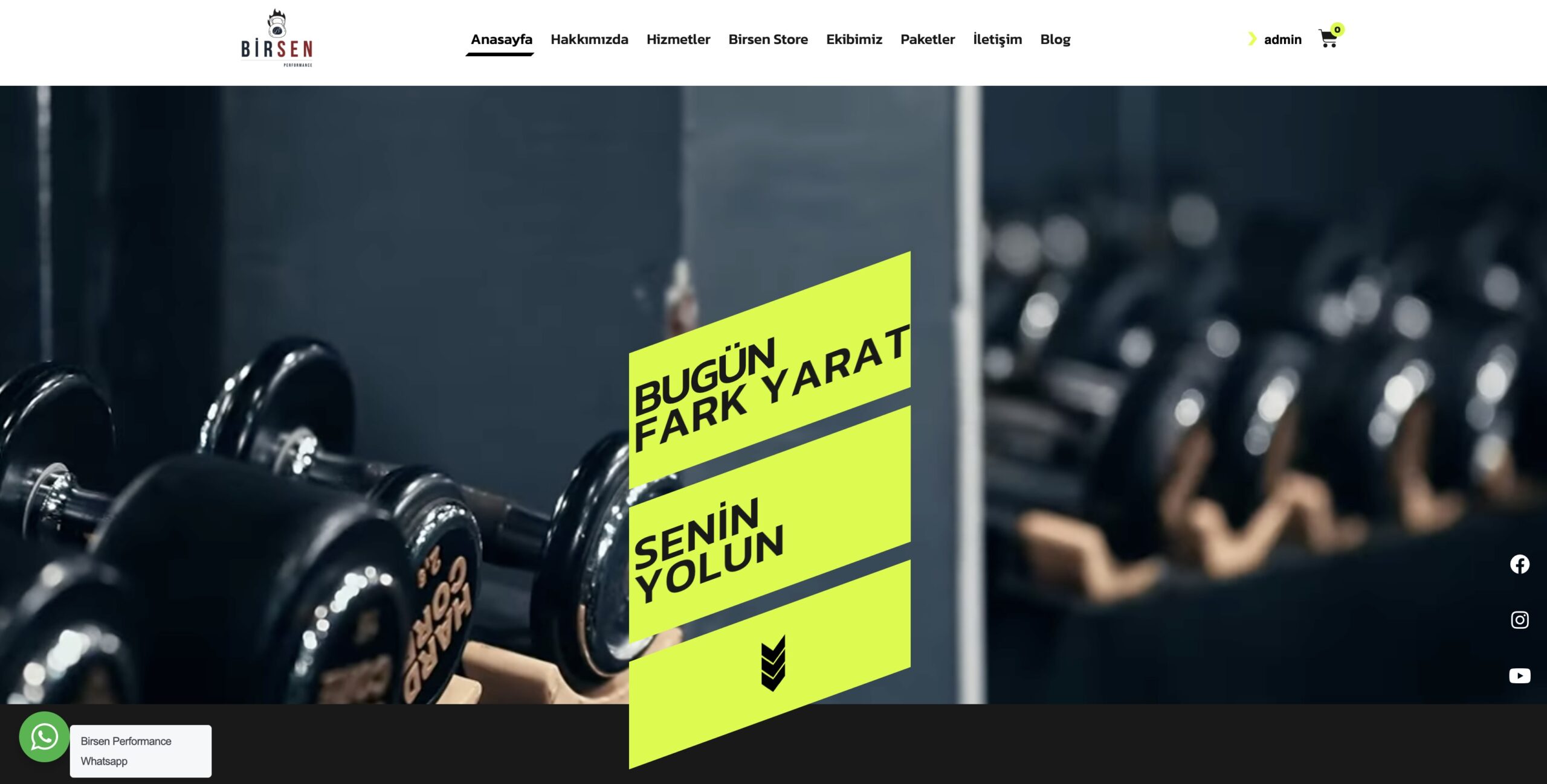 Birsen Performance - Kurumsal Web projesi görseli