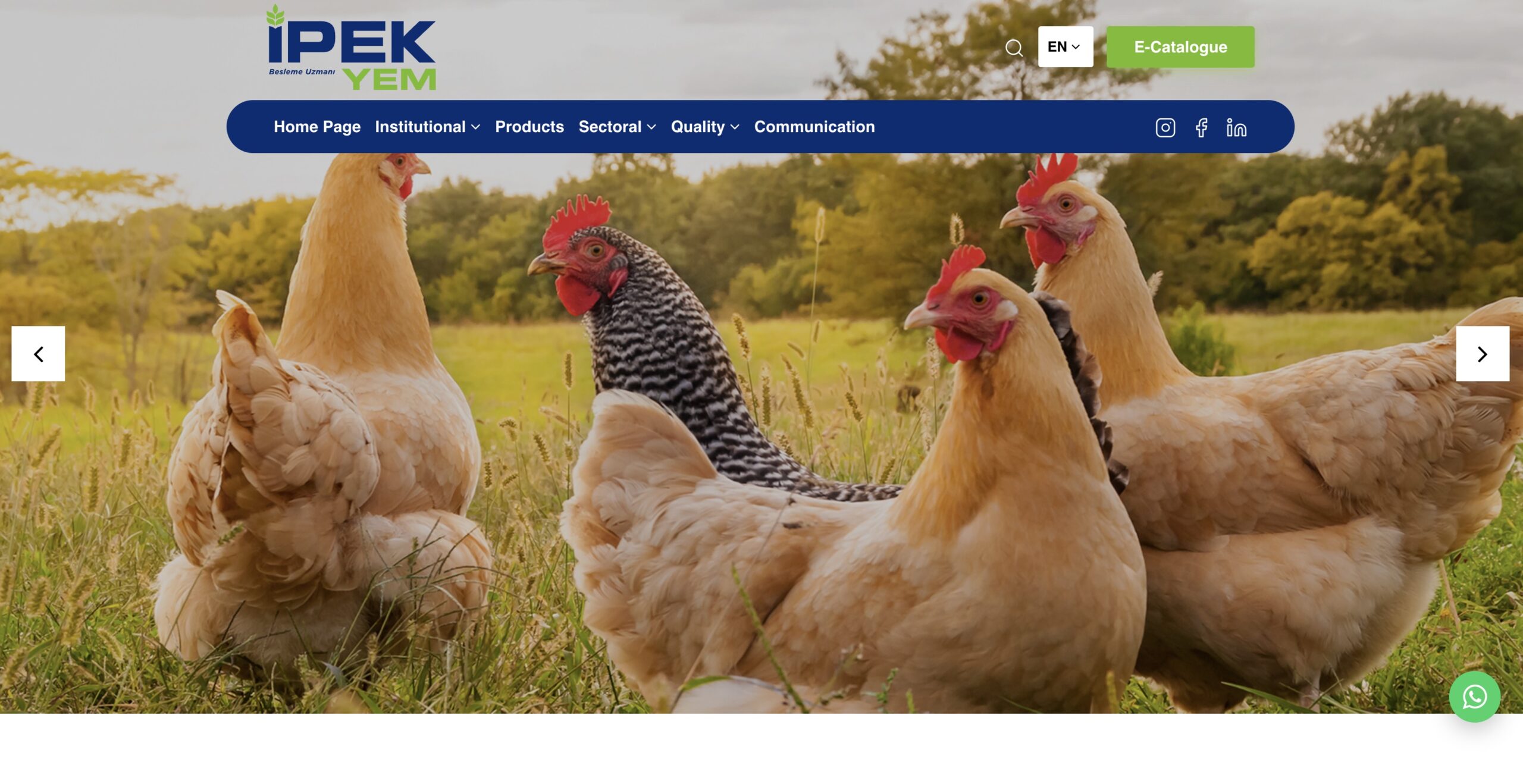 İpek Yem - Kurumsal Web projesi görseli